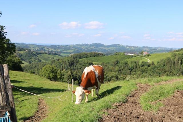 Serschenhof- Auszeit Ueber Dem Stall Leutschach Dış mekan fotoğraf